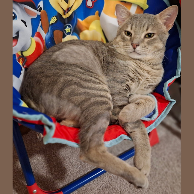 Photo of Grumbles