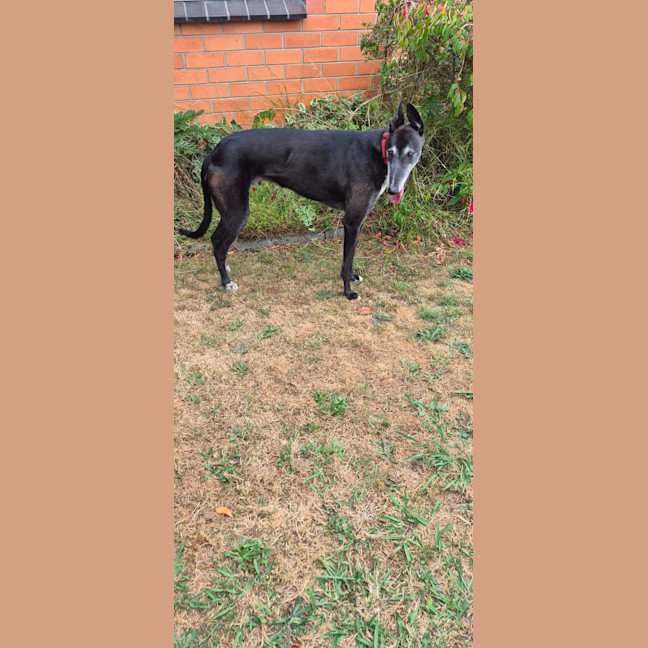 Photo of Vinnie