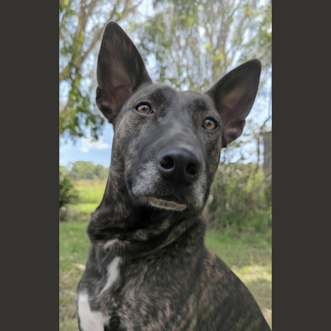Photo of Ellie