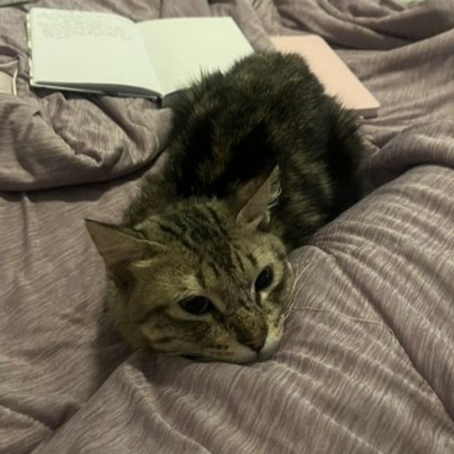 Photo of Klaus