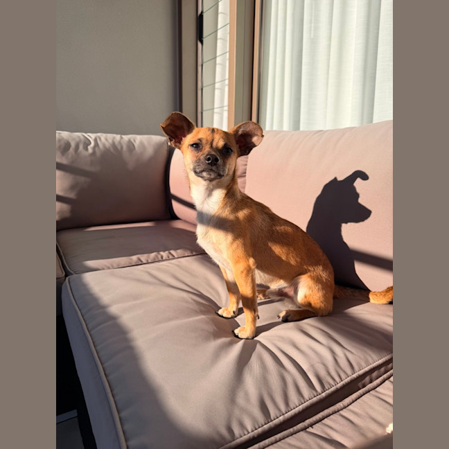 Photo of Georgie