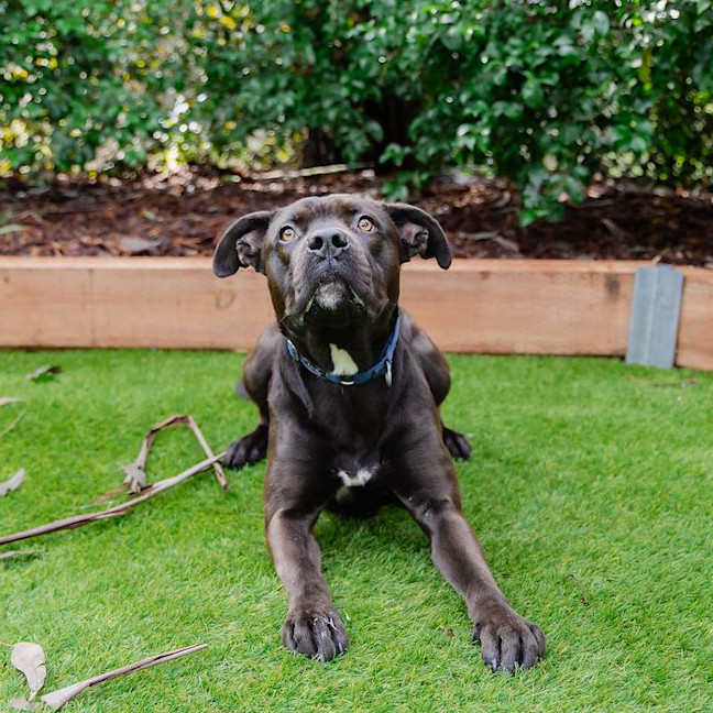 Photo of Hercules