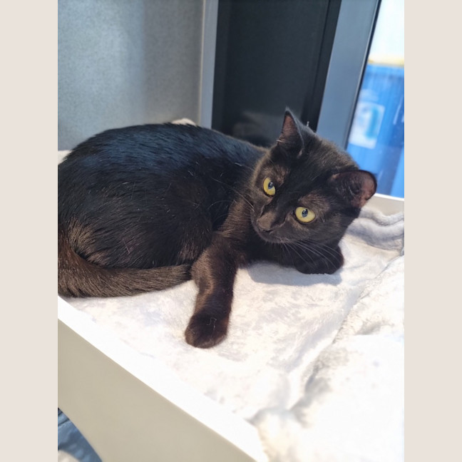 Photo of Mavis