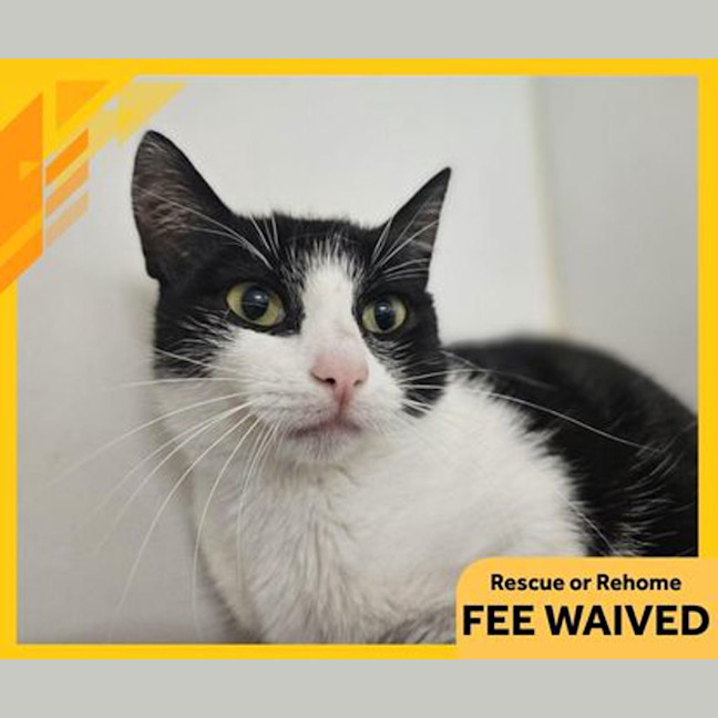 Photo of Lord Harrington