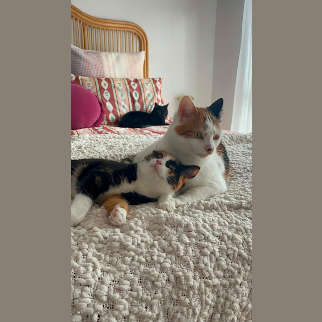 Photo of Katie