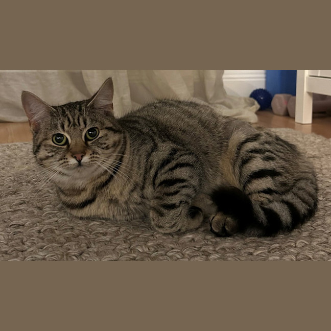 Photo of Evelyn