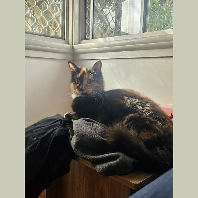 Photo of Sophie