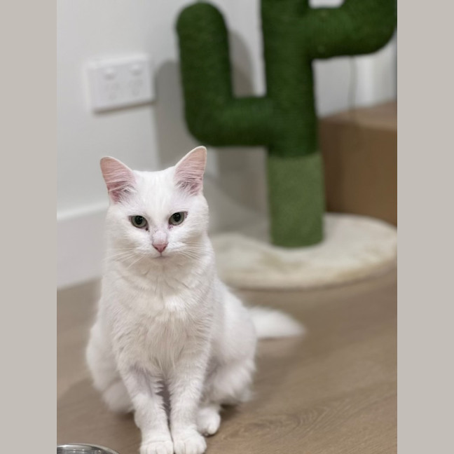 Photo of Liyana And Luci