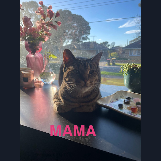 Photo of Mama
