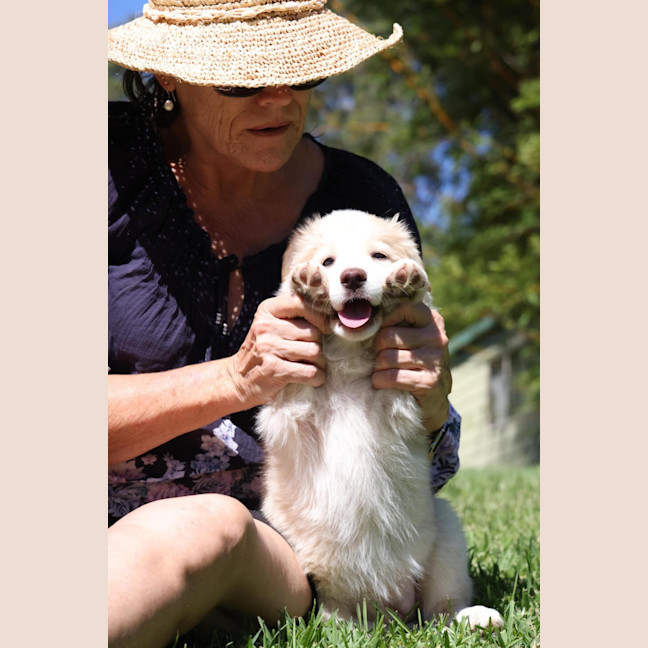 Photo of Belle