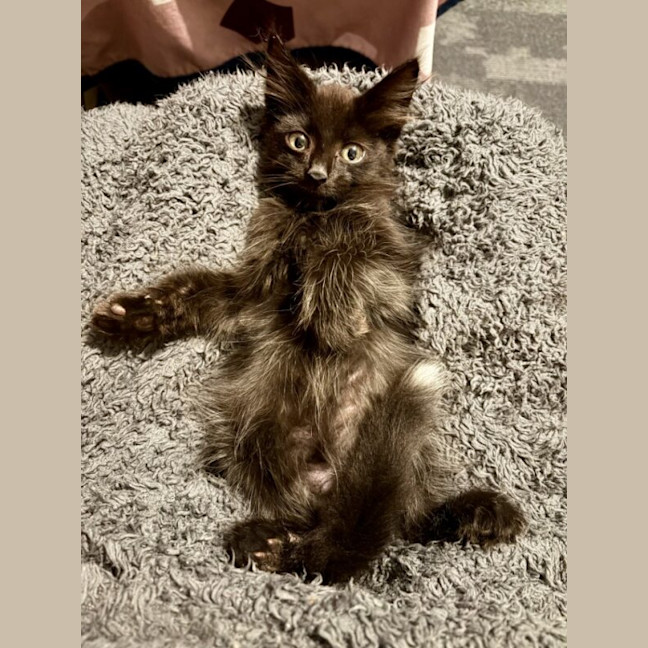 Photo of Sammy
