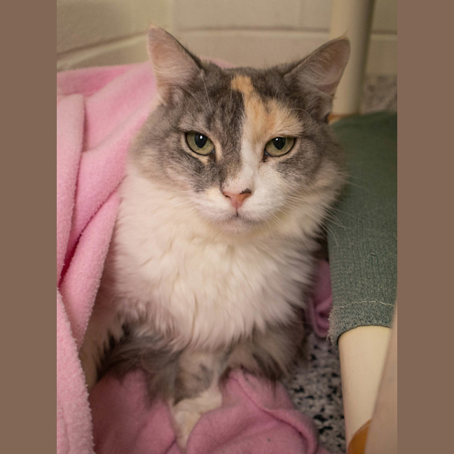 Photo of Zoe