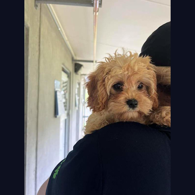 Photo of Lottie
