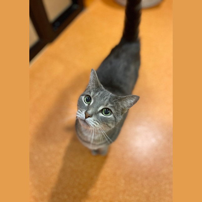 Photo of Lily