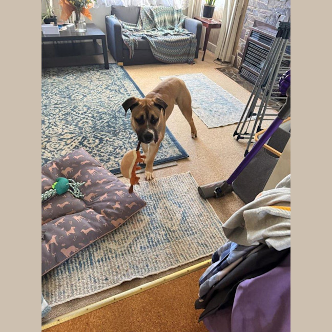 Photo of Archer Tamblyn