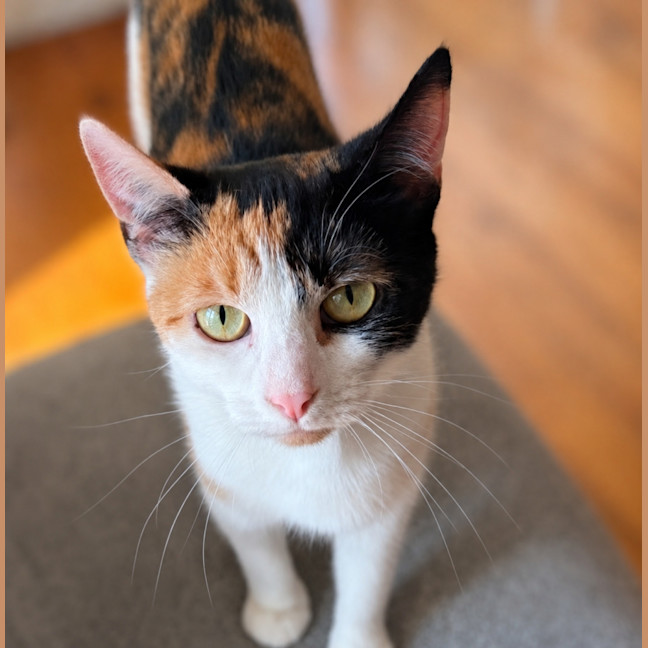Photo of Betty 