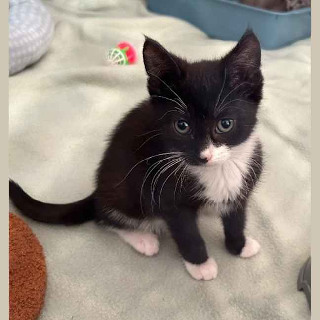 Photo of Hattie Mae   Special Needs