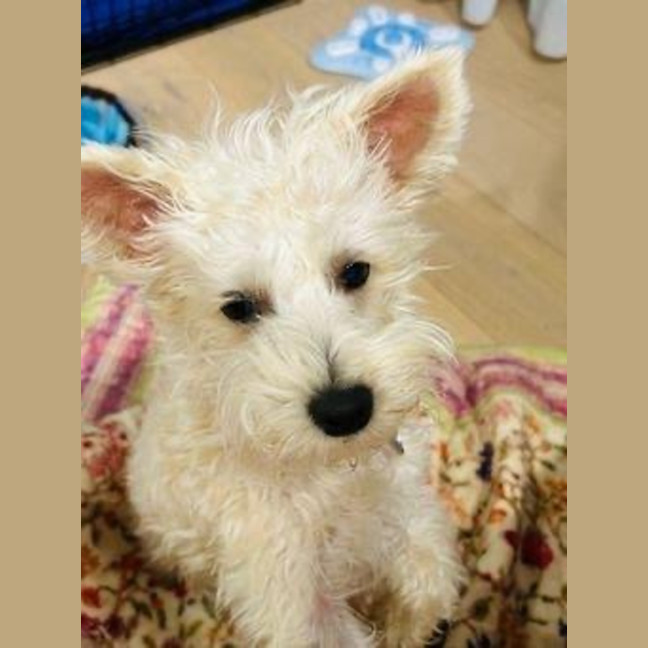 Photo of Lily Peggotty