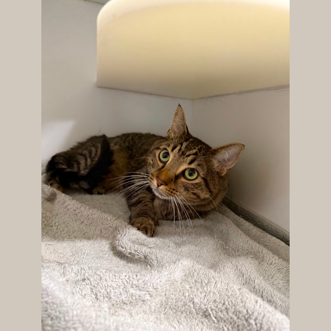 Photo of 🏵️ Fred 7627 🏵️
