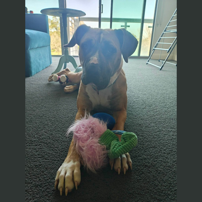 Photo of Delilah