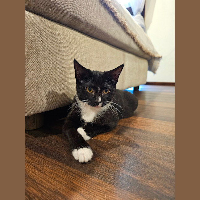 Photo of Pistachio 💚