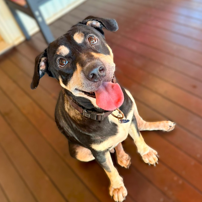 Photo of Quinny