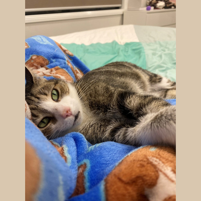 Photo of Willow 