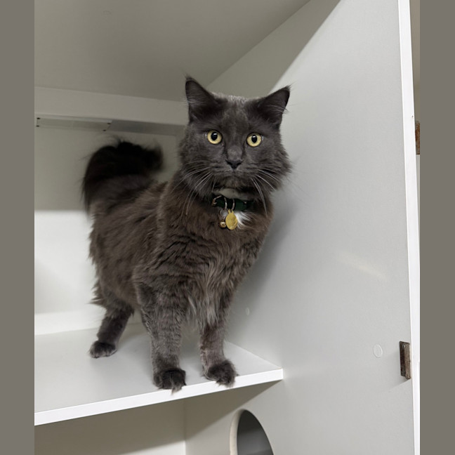 Photo of Storm