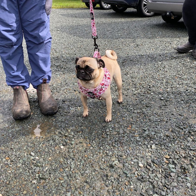 Photo of Peggy Sue
