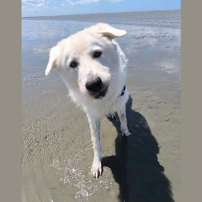 Photo of Zeus