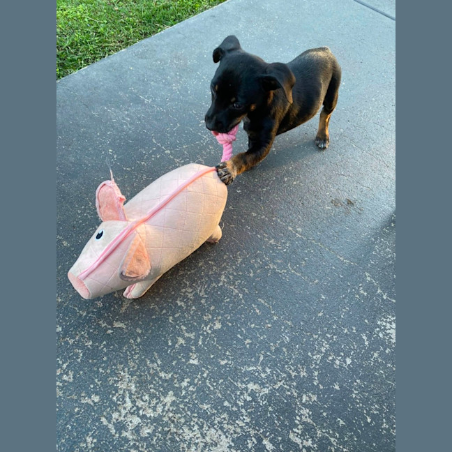 Photo of Bingo