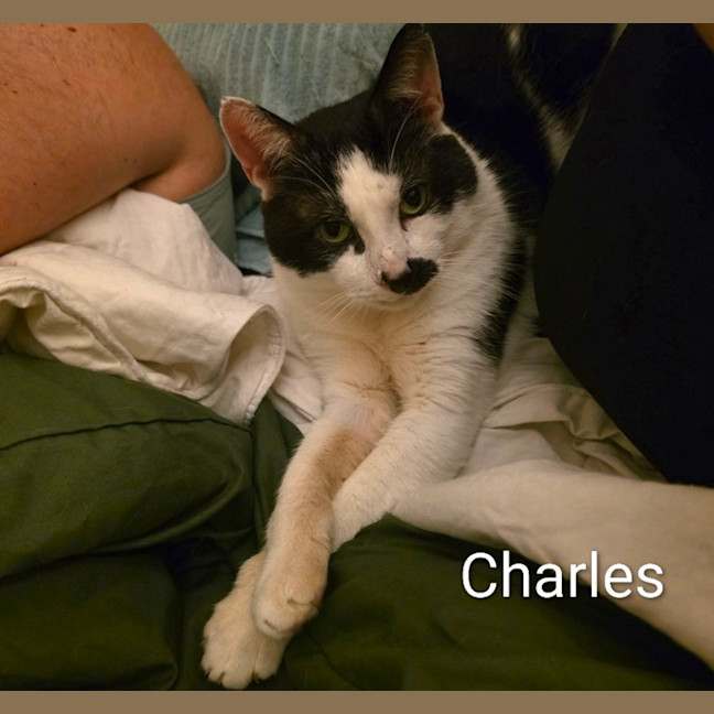 Photo of Charles