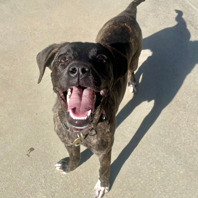 Photo of Xena