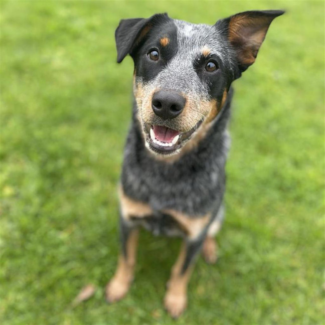 Photo of Jessie
