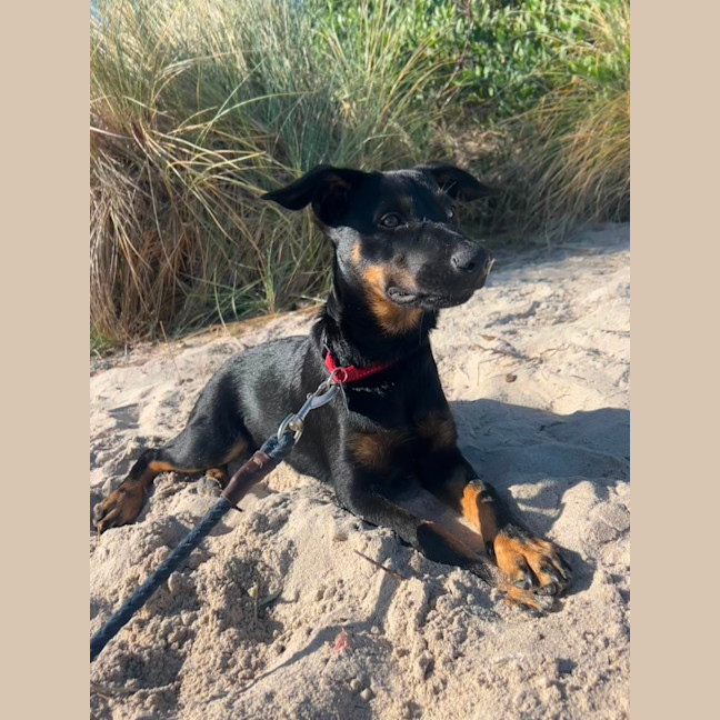 Photo of Bindi