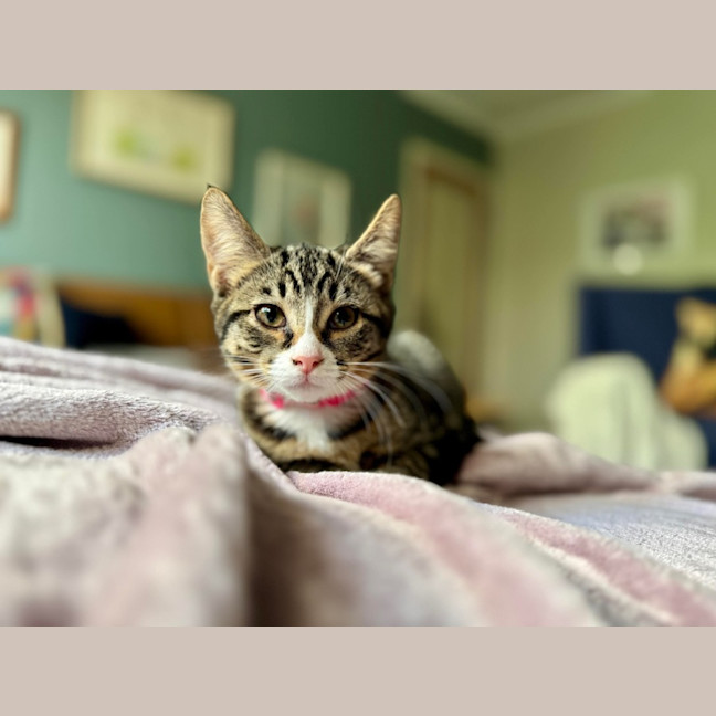 Photo of Tay Tay & Britney 