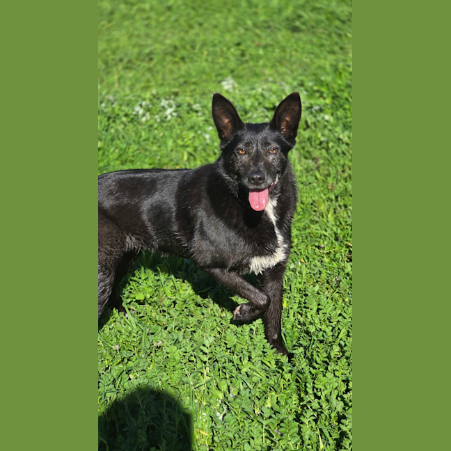 Photo of Matilda
