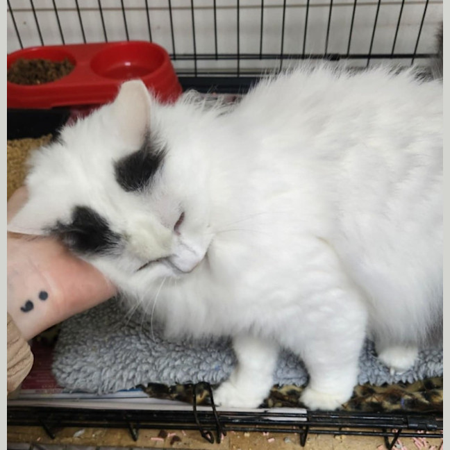 Photo of Jamilla Aka Milla