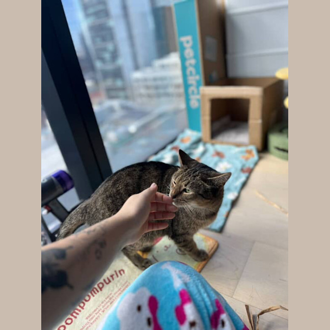 Photo of Cleo