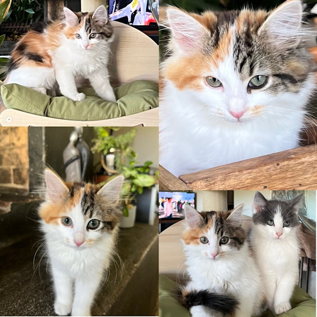 Photo of Margot