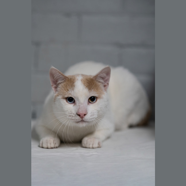 Photo of Moe