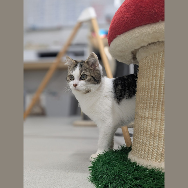 Photo of 🧵 Fyfe 6049 🧵