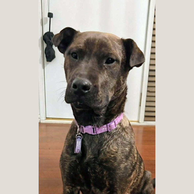 Photo of Ruby