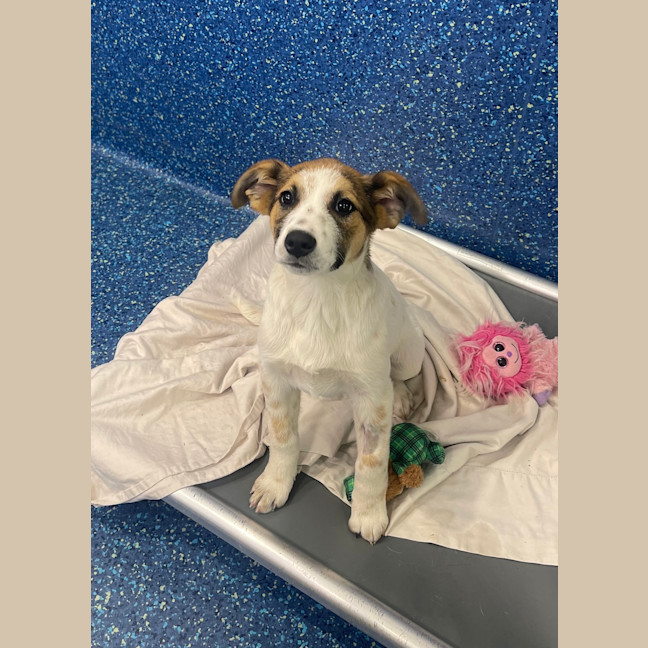 Photo of Sprout 