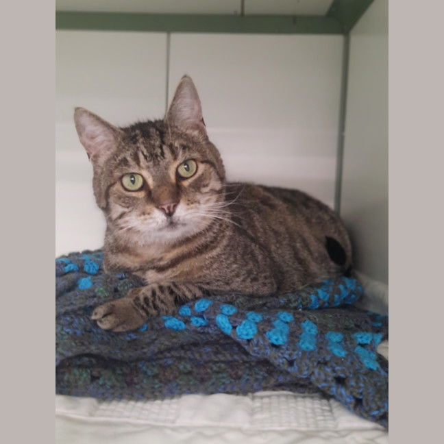 Photo of Jasper