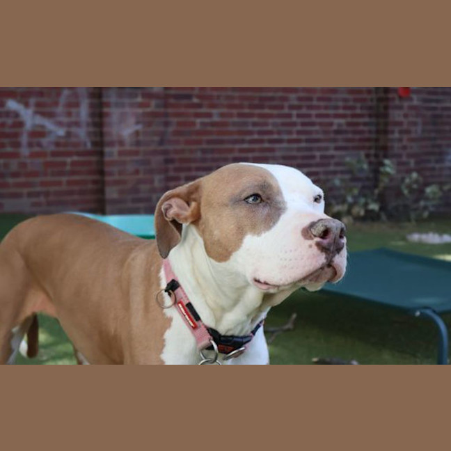 Photo of Portia