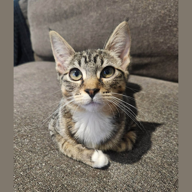 Photo of Libby 