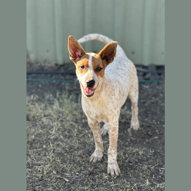Photo of Cash