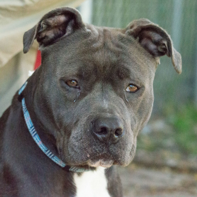 Photo of Nautica