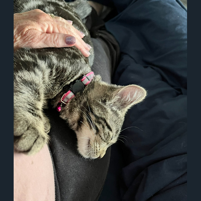 Photo of Delilah & Elfie